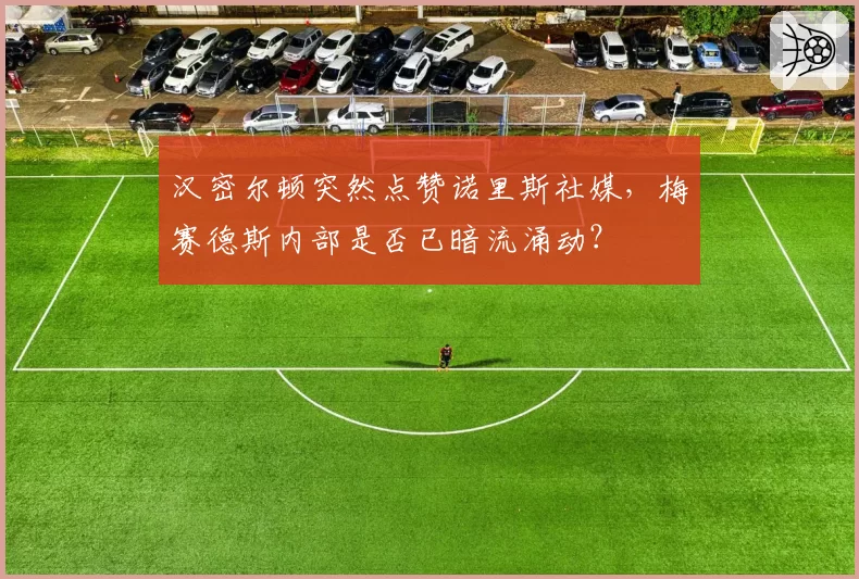 汉密尔顿突然点赞诺里斯社媒,梅赛德斯内部是否已暗流涌动?