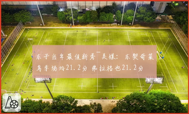 东子当年最佳新秀~美媒:东契奇菜鸟季场均21.2分 弗拉格也21.2分