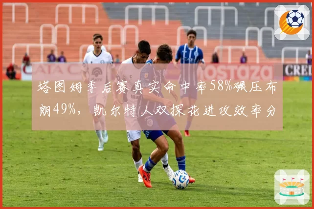 塔图姆季后赛真实命中率58%碾压布朗49%，凯尔特人双探花进攻效率分层