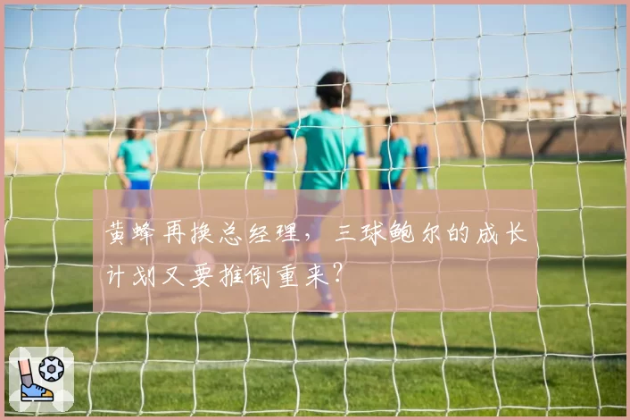 黄蜂再换总经理，三球鲍尔的成长计划又要推倒重来？