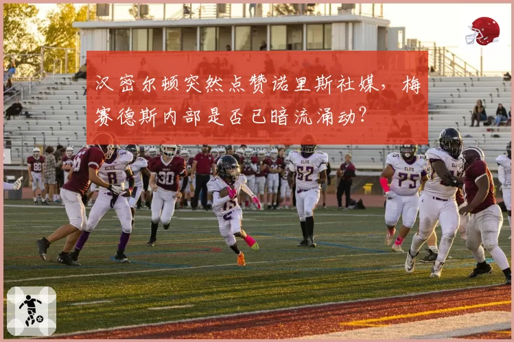 汉密尔顿突然点赞诺里斯社媒，梅赛德斯内部是否已暗流涌动？