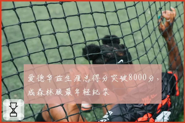 爱德华兹生涯总得分突破8000分，成森林狼最年轻纪录