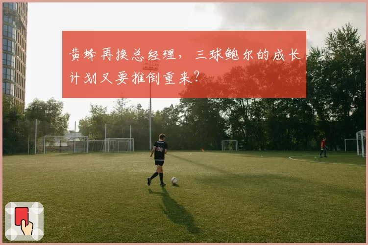 黄蜂再换总经理，三球鲍尔的成长计划又要推倒重来？