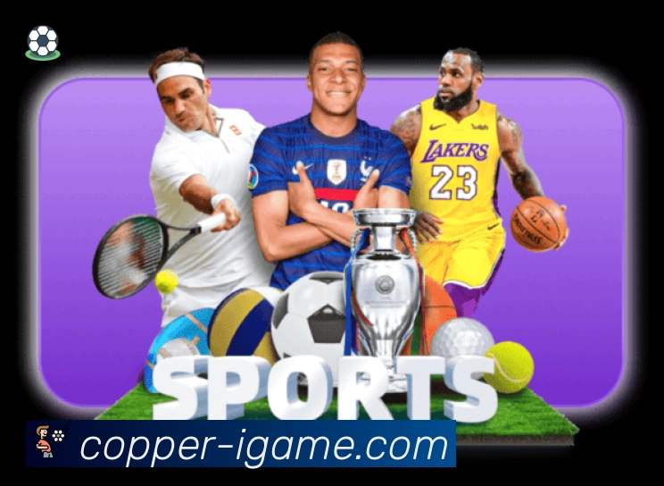 爱游戏安全价值